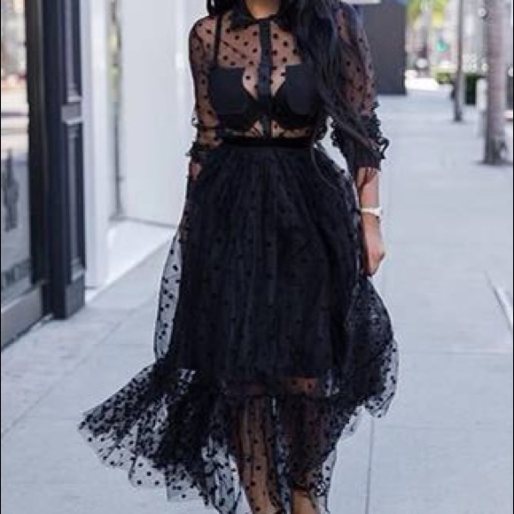 Long Sleeve Dots Sheer Mesh Dress
